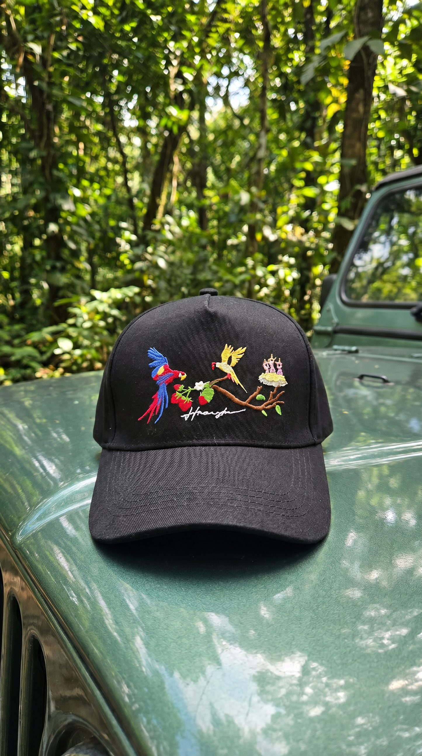 Birds Embroidery Cap - Black