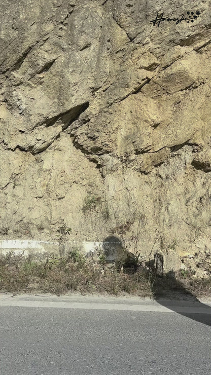 World Map Embroidery Hoodie - Black